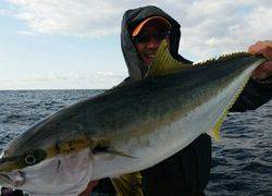 ディープ オーシャン 釣果