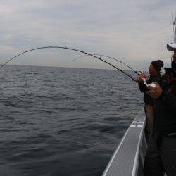 へいみつ丸 釣果