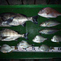 海山フィッシングセンター 釣果