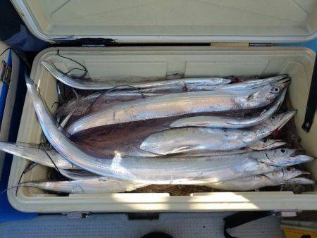 遊漁船 ニライカナイ 釣果