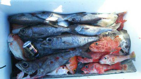 武勝丸(ぶしょうまる) 釣果