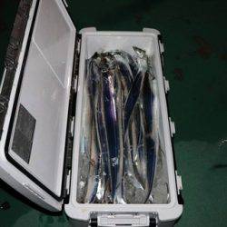 スカイマリン 釣果