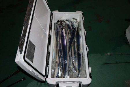 スカイマリン 釣果