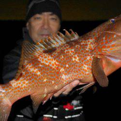 TOPGUN名古屋 釣果