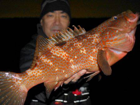 TOPGUN名古屋 釣果