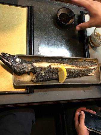 へいみつ丸 釣果