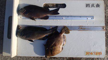 坂下丸 釣果