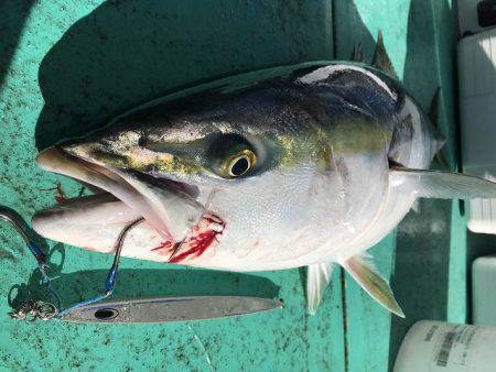 広進丸 釣果