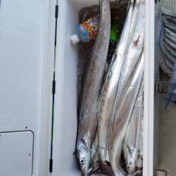 遊漁船　ニライカナイ 釣果