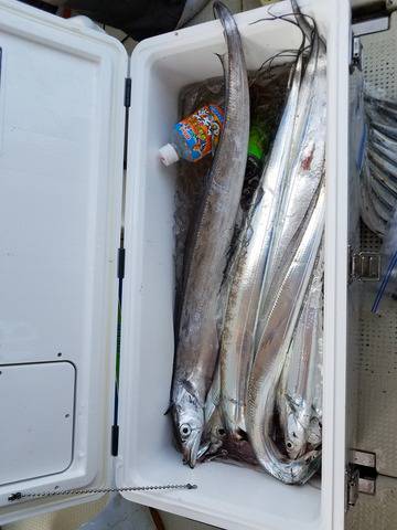 遊漁船　ニライカナイ 釣果