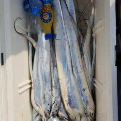 遊漁船 ニライカナイ 釣果