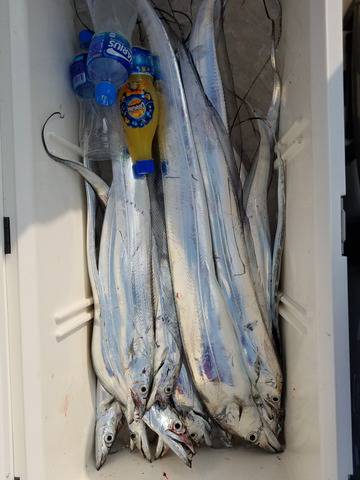 遊漁船 ニライカナイ 釣果