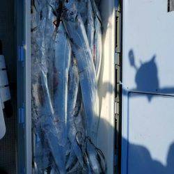 遊漁船　ニライカナイ 釣果