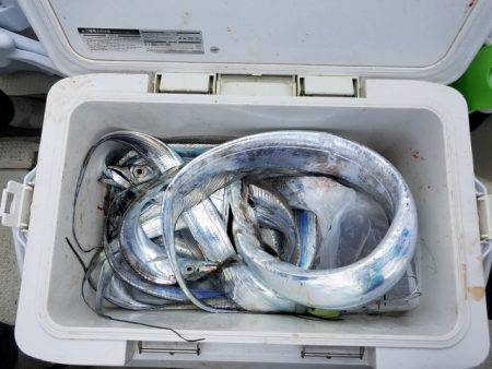 遊漁船 ニライカナイ 釣果