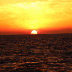 へいみつ丸 釣果