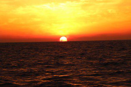 へいみつ丸 釣果