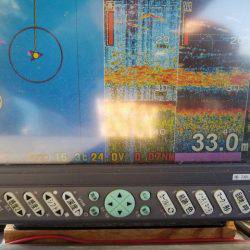 遊漁船 ニライカナイ 釣果