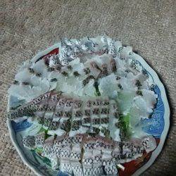 宝昌丸 釣果