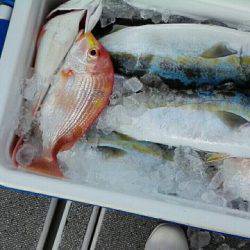 第二大福丸 釣果