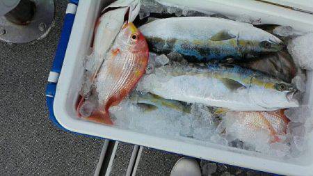 第二大福丸 釣果