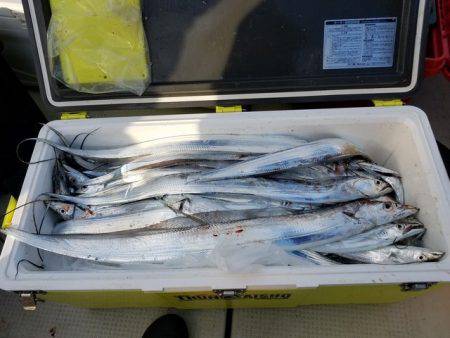 遊漁船　ニライカナイ 釣果