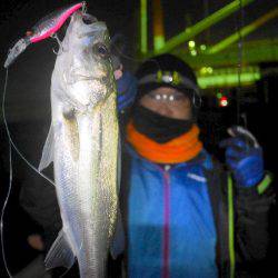 TOPGUN名古屋 釣果