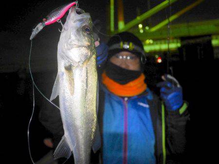 TOPGUN名古屋 釣果