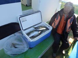 久里浜黒川本家 釣果