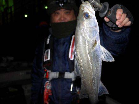 TOPGUN名古屋 釣果