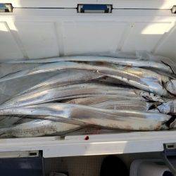 遊漁船 ニライカナイ 釣果