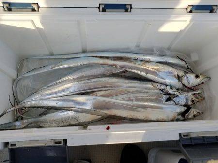 遊漁船 ニライカナイ 釣果