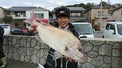 まこと渡船 釣果