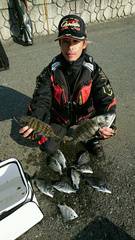 まこと渡船 釣果