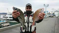 まこと渡船 釣果