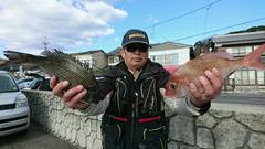 まこと渡船 釣果