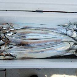 遊漁船　ニライカナイ 釣果