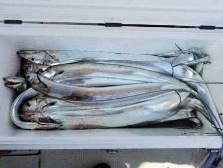 遊漁船　ニライカナイ 釣果