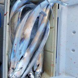 遊漁船 ニライカナイ 釣果