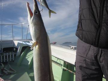 千宝丸 釣果
