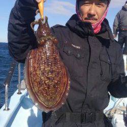 東京湾探釣隊ぼっち 釣果