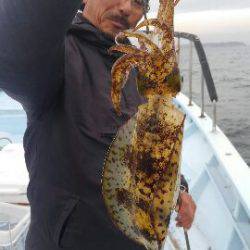 東京湾探釣隊ぼっち 釣果