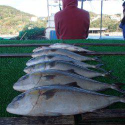 カタタのつり堀 釣果