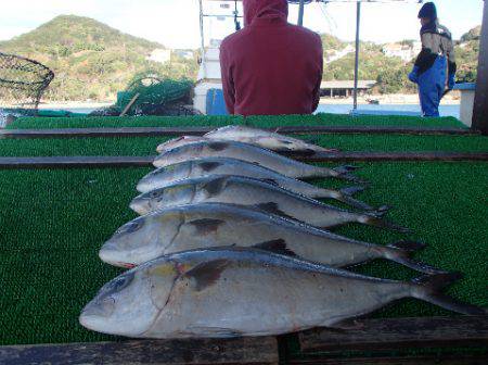 カタタのつり堀 釣果