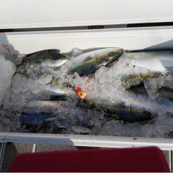 第二大福丸 釣果