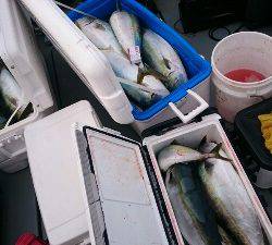 IDATEN(イダテン) 釣果