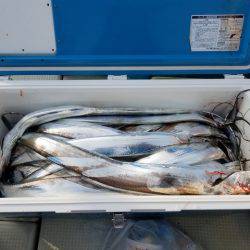 遊漁船　ニライカナイ 釣果