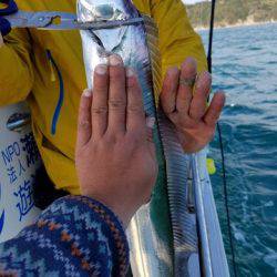 遊漁船 ニライカナイ 釣果