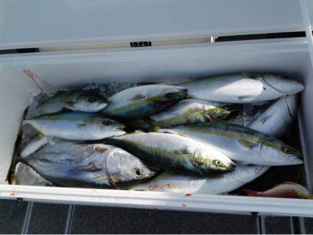 第二大福丸 釣果