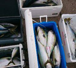 IDATEN(イダテン) 釣果