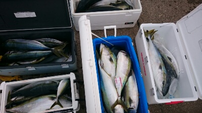 IDATEN(イダテン) 釣果